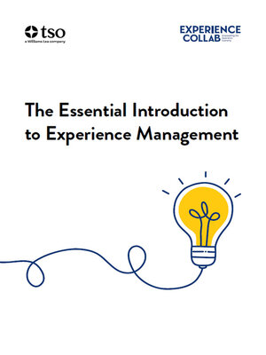 cover image of The Essential Introduction to Experience Management